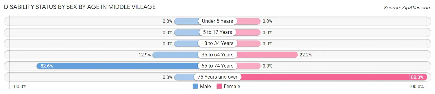 Disability Status by Sex by Age in Middle Village