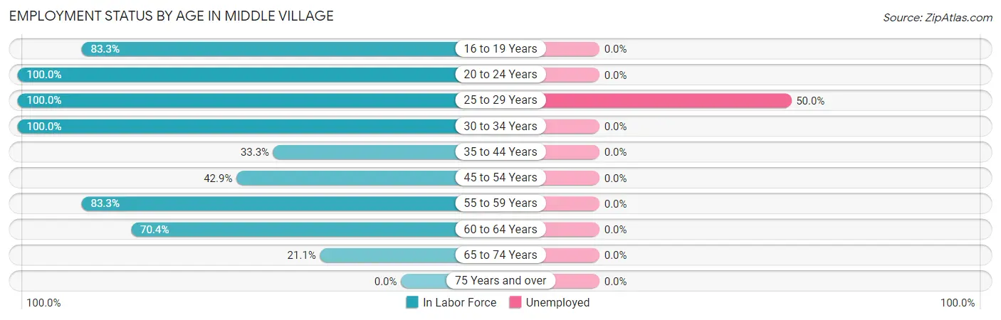 Employment Status by Age in Middle Village