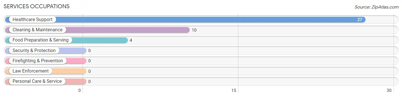 Services Occupations in Middle Village