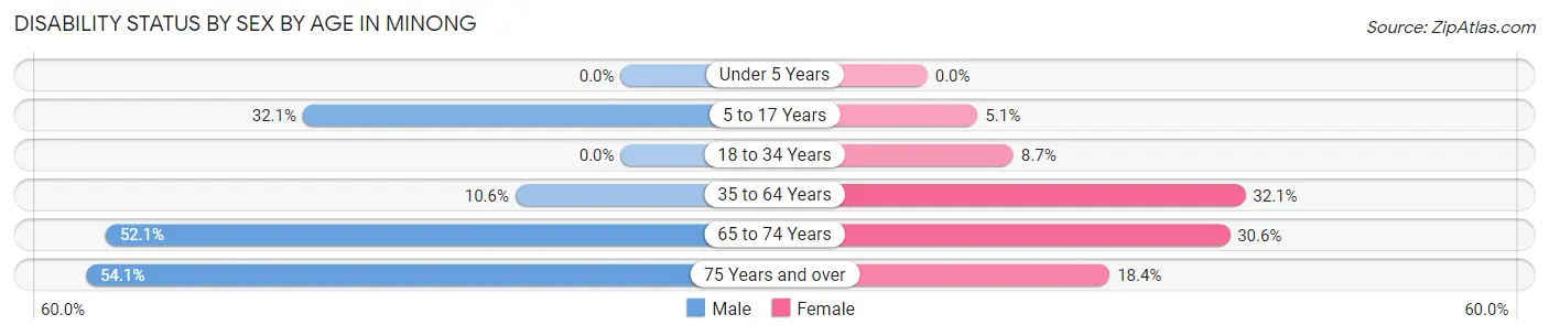 Disability Status by Sex by Age in Minong
