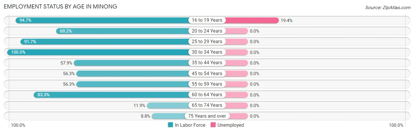 Employment Status by Age in Minong