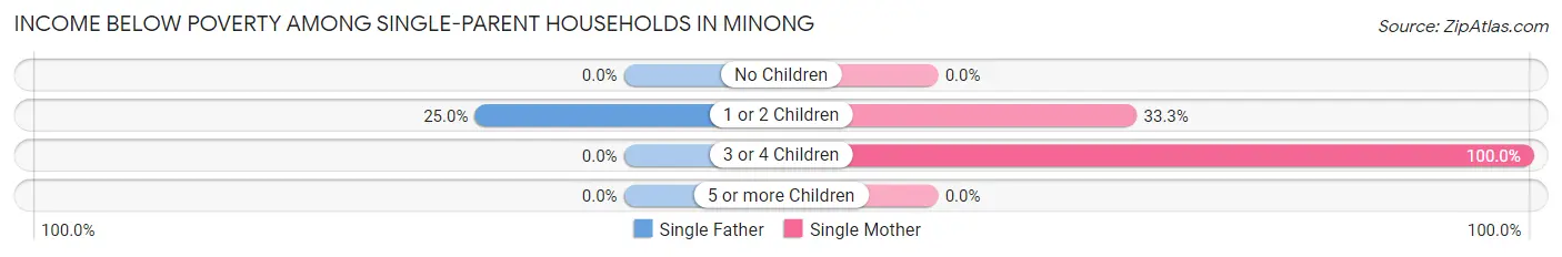 Income Below Poverty Among Single-Parent Households in Minong