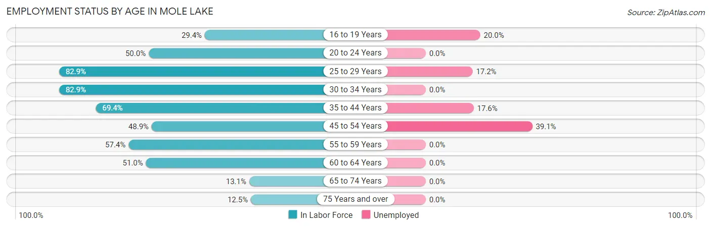 Employment Status by Age in Mole Lake