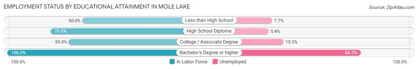 Employment Status by Educational Attainment in Mole Lake