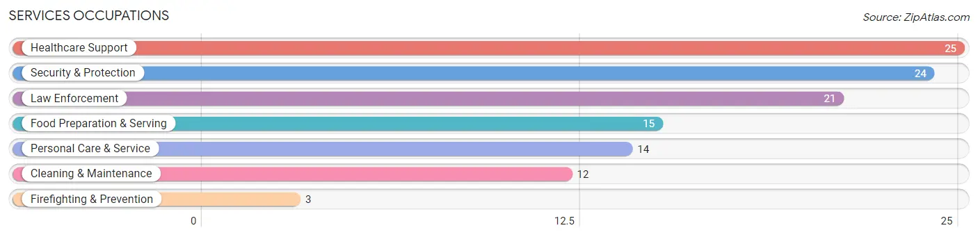 Services Occupations in Montello