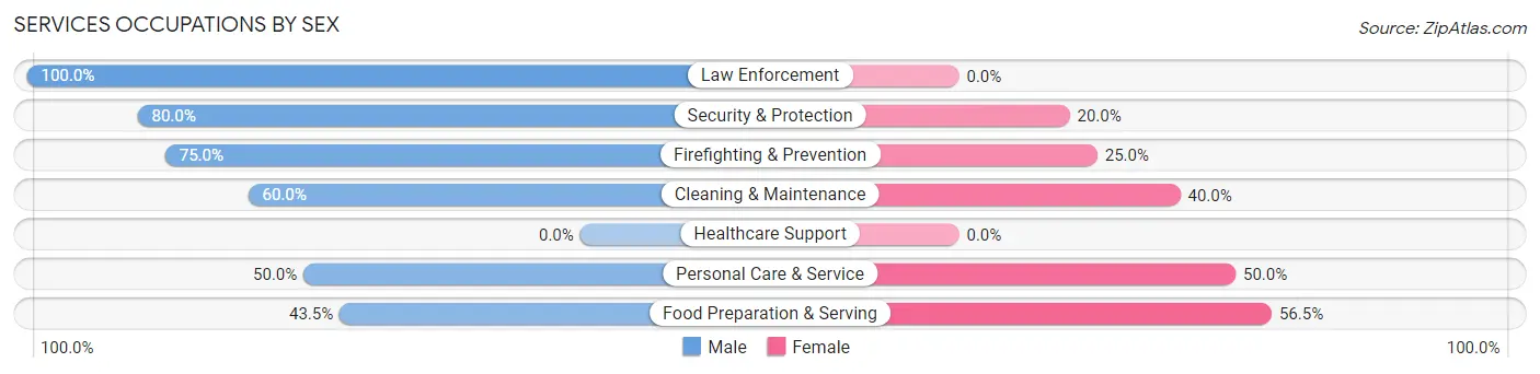 Services Occupations by Sex in Nashotah