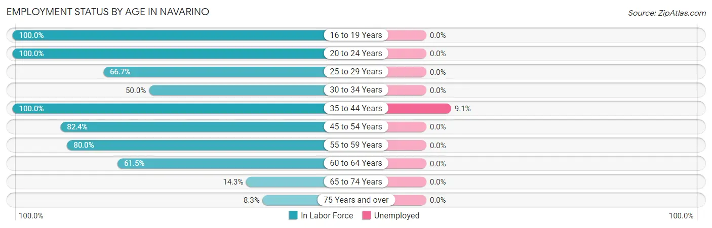 Employment Status by Age in Navarino