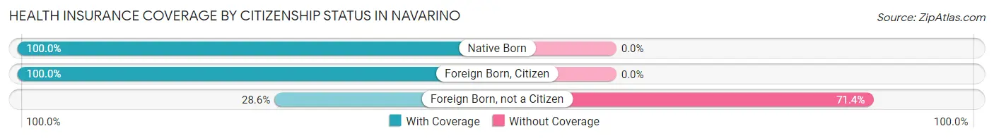 Health Insurance Coverage by Citizenship Status in Navarino