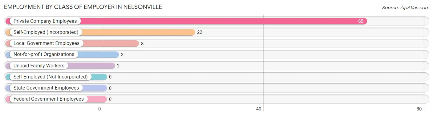 Employment by Class of Employer in Nelsonville