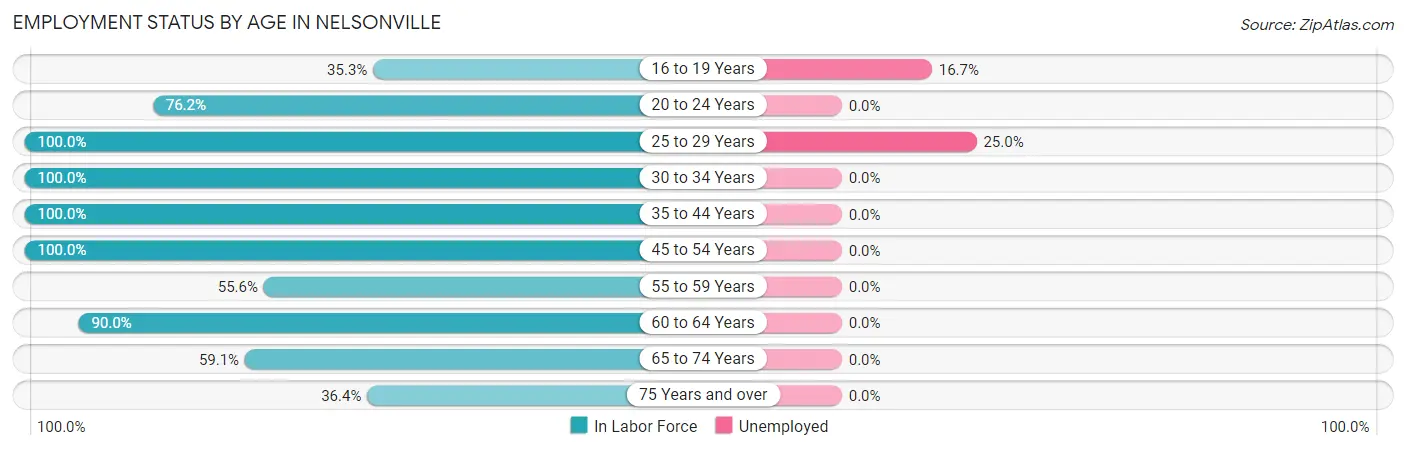 Employment Status by Age in Nelsonville