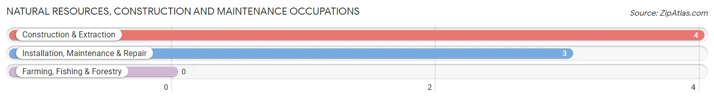 Natural Resources, Construction and Maintenance Occupations in Neshkoro