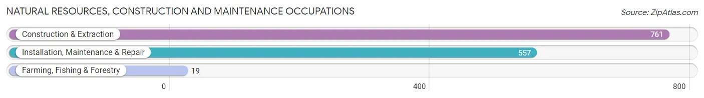 Natural Resources, Construction and Maintenance Occupations in New Berlin