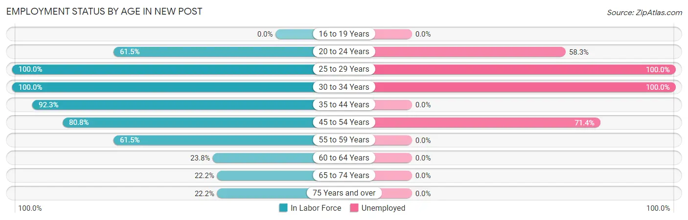 Employment Status by Age in New Post