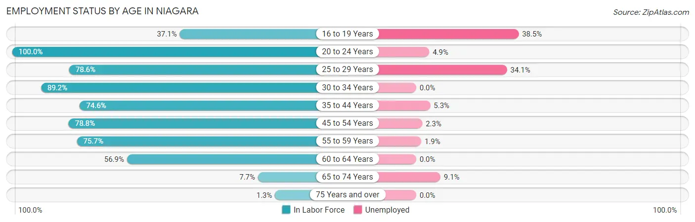 Employment Status by Age in Niagara