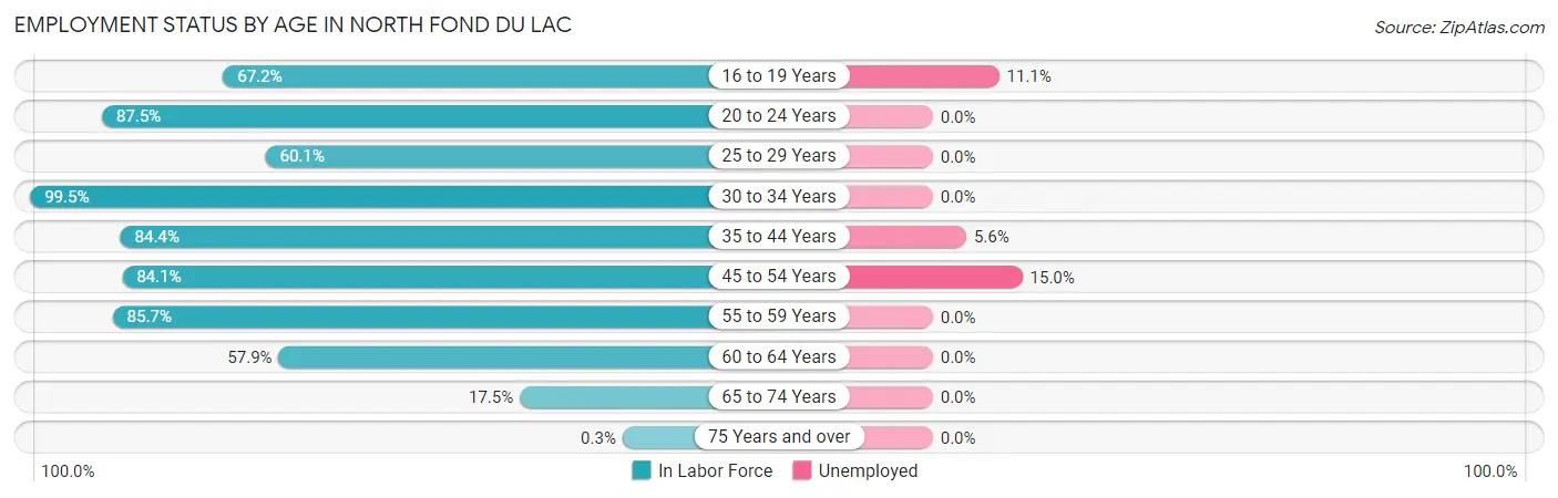 Employment Status by Age in North Fond du Lac