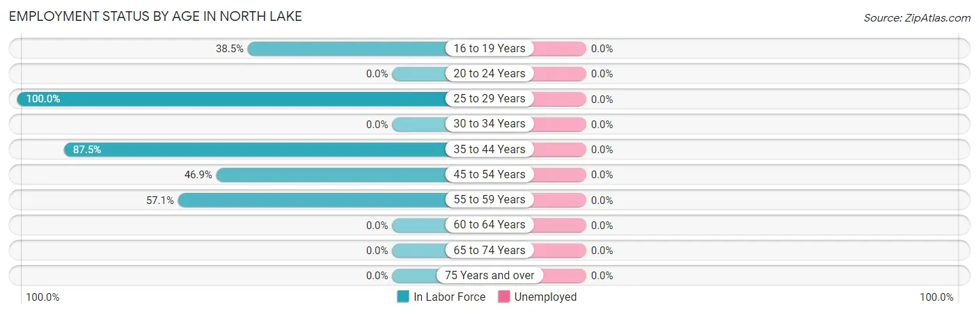 Employment Status by Age in North Lake