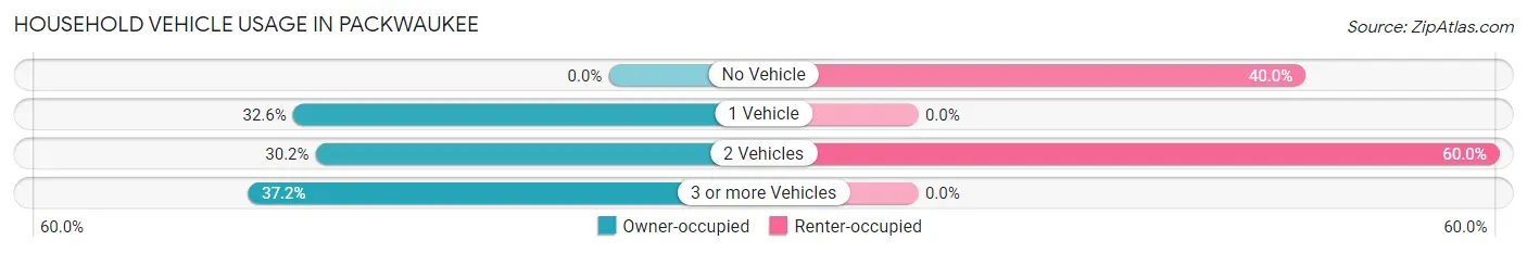 Household Vehicle Usage in Packwaukee