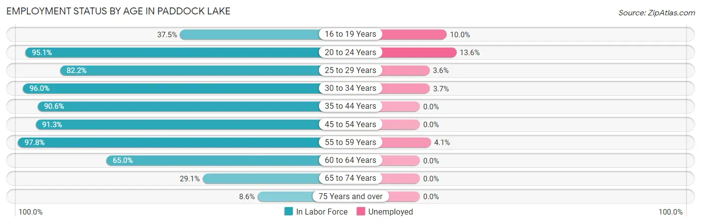 Employment Status by Age in Paddock Lake