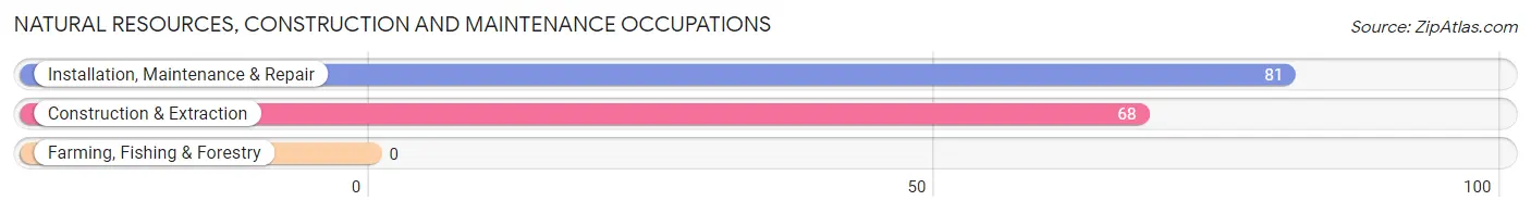 Natural Resources, Construction and Maintenance Occupations in Pardeeville