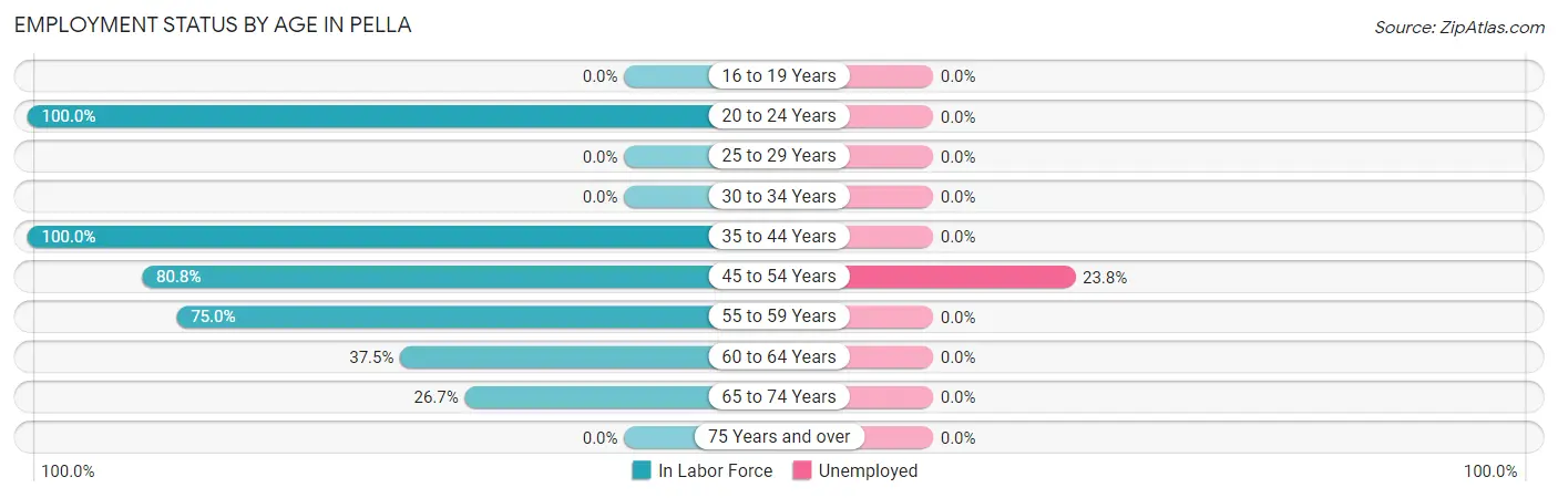 Employment Status by Age in Pella