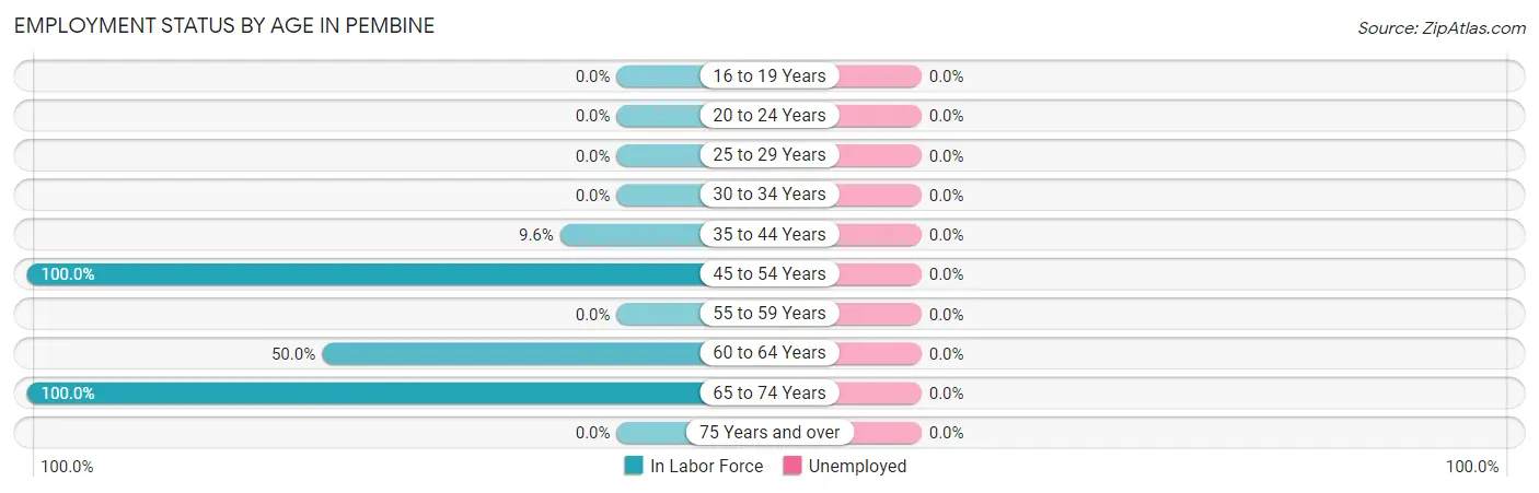 Employment Status by Age in Pembine