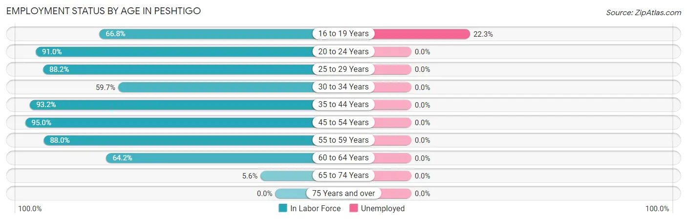 Employment Status by Age in Peshtigo