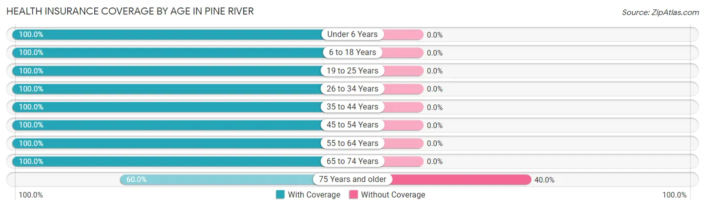 Health Insurance Coverage by Age in Pine River