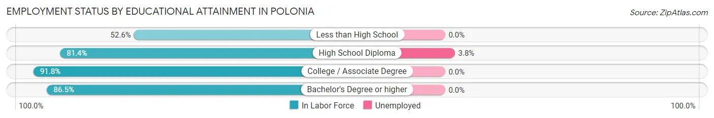 Employment Status by Educational Attainment in Polonia