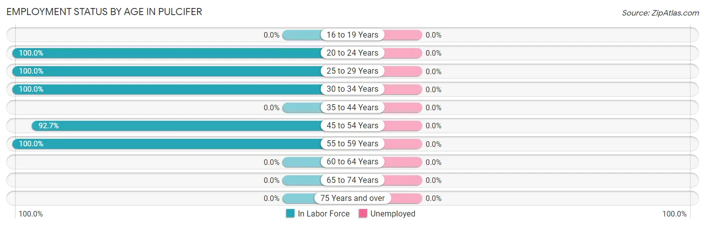 Employment Status by Age in Pulcifer