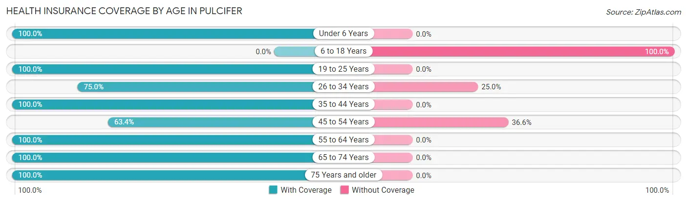 Health Insurance Coverage by Age in Pulcifer
