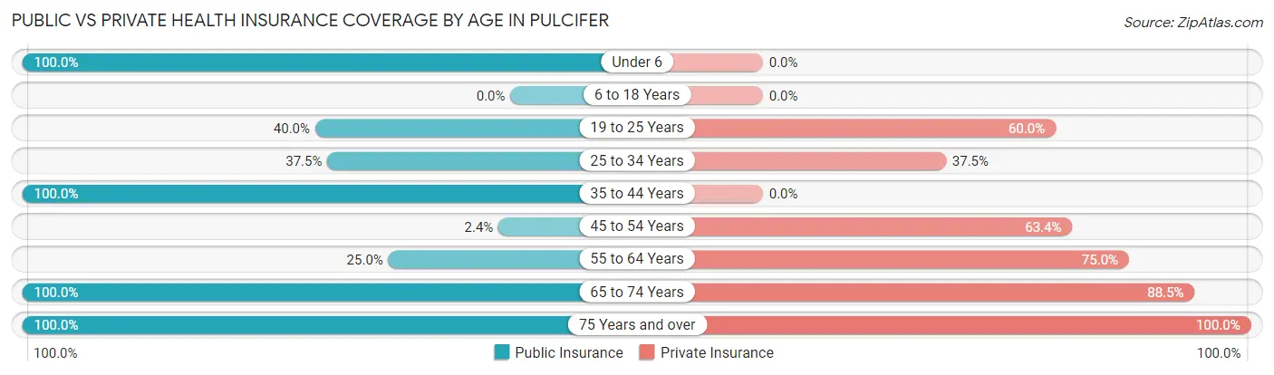 Public vs Private Health Insurance Coverage by Age in Pulcifer