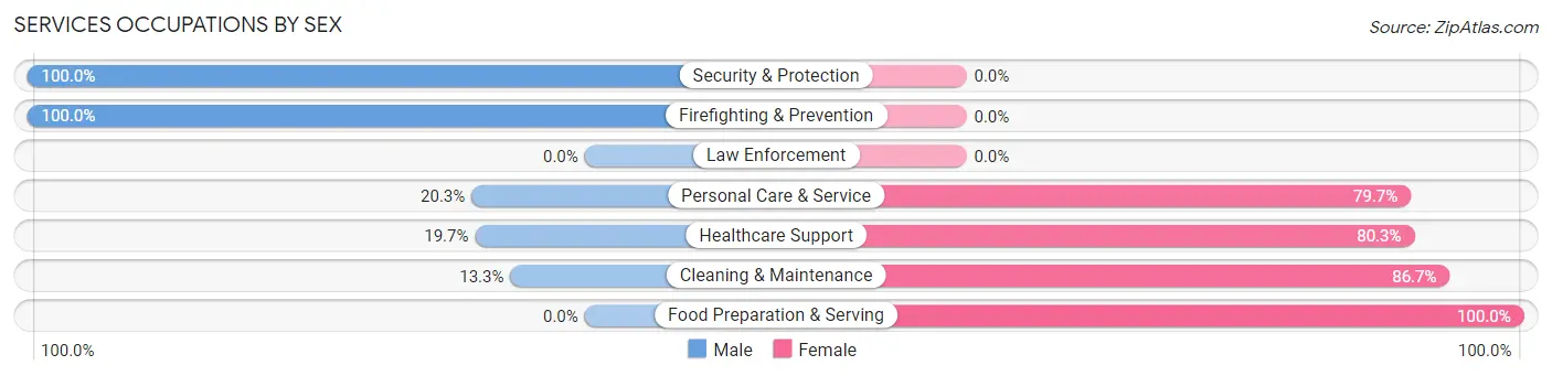 Services Occupations by Sex in Rib Mountain