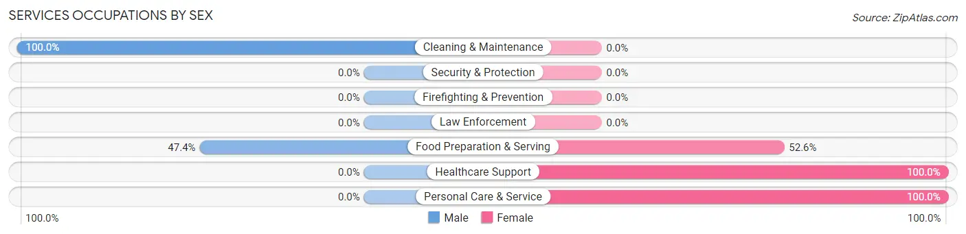 Services Occupations by Sex in Rock Springs
