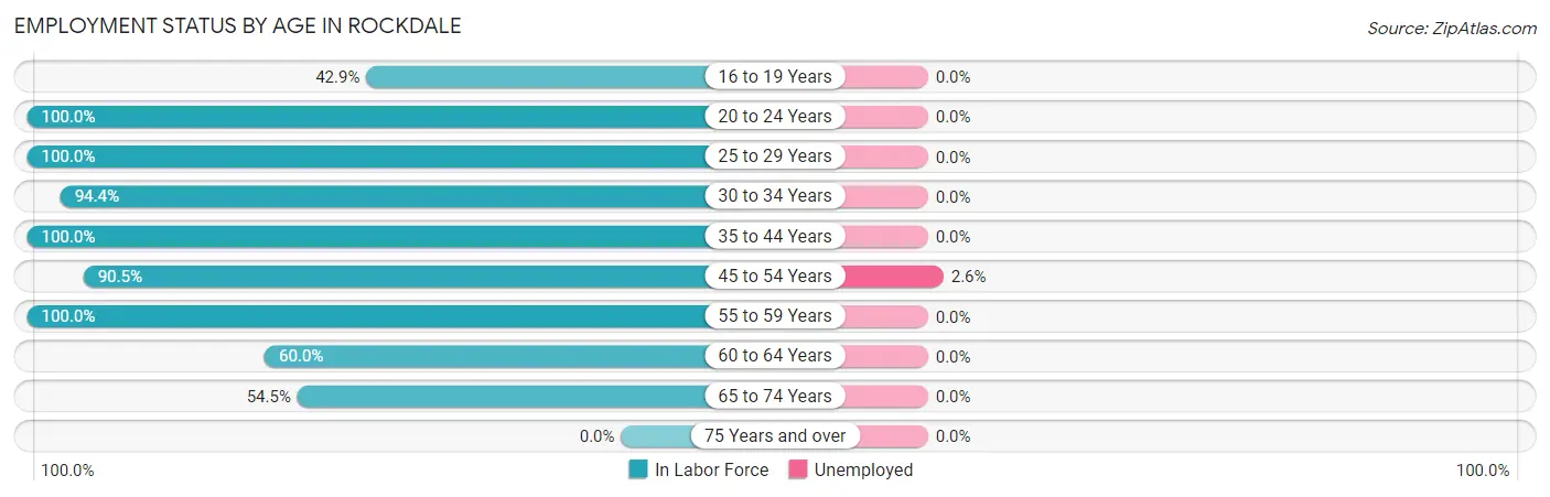 Employment Status by Age in Rockdale