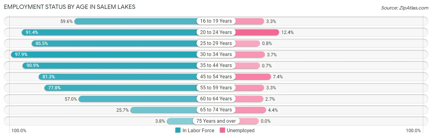 Employment Status by Age in Salem Lakes