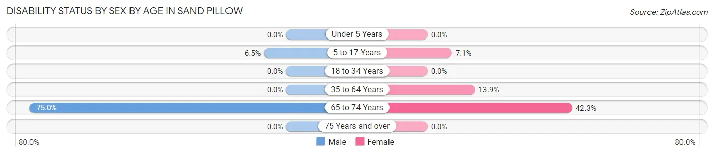Disability Status by Sex by Age in Sand Pillow