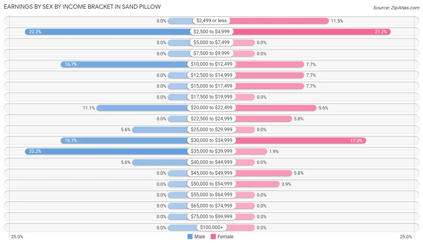 Earnings by Sex by Income Bracket in Sand Pillow