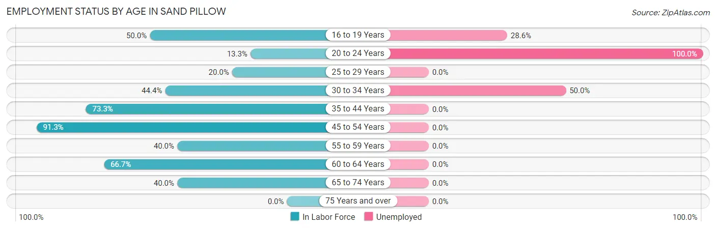 Employment Status by Age in Sand Pillow