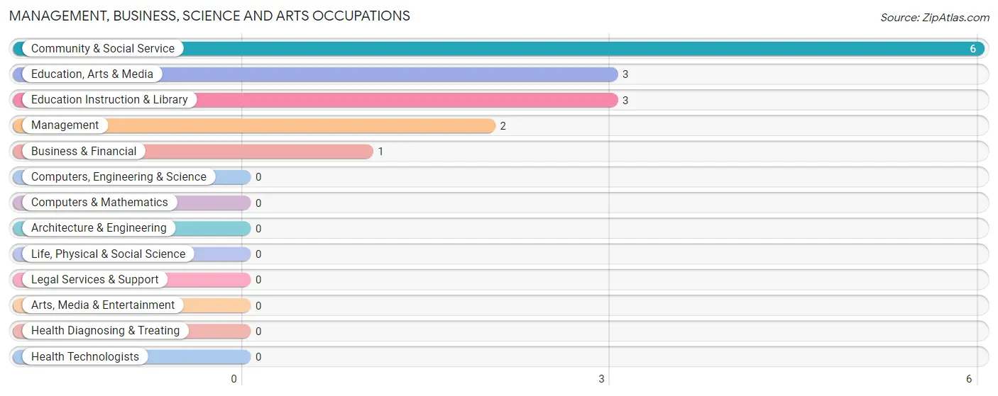 Management, Business, Science and Arts Occupations in Sand Pillow