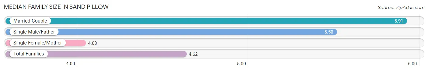 Median Family Size in Sand Pillow