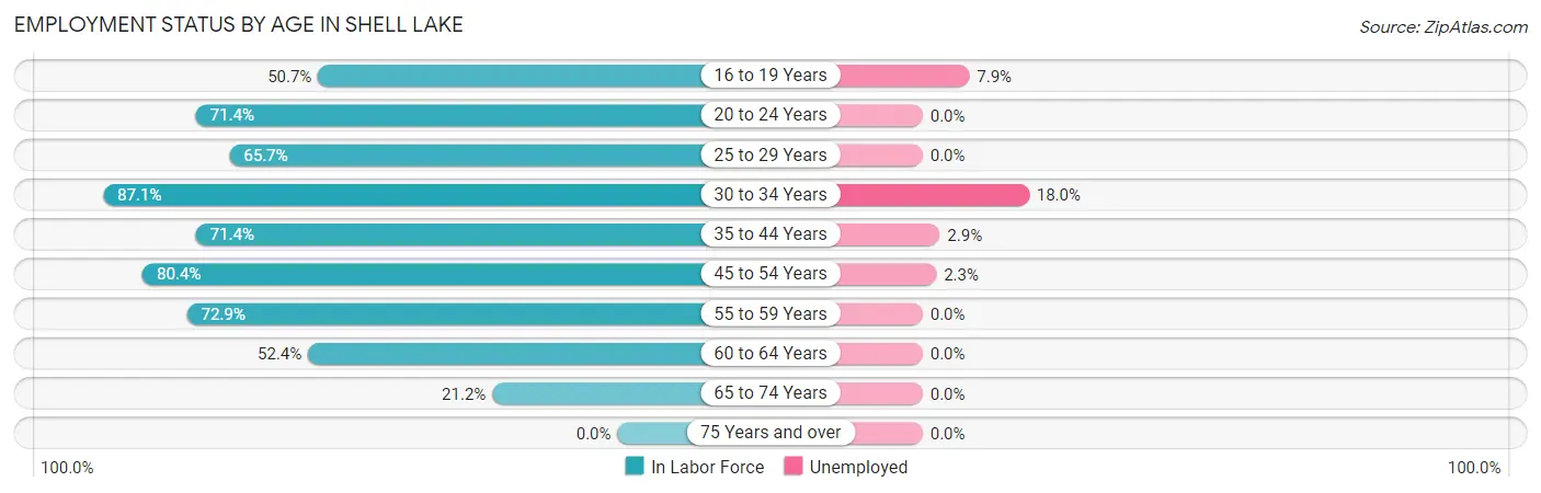Employment Status by Age in Shell Lake