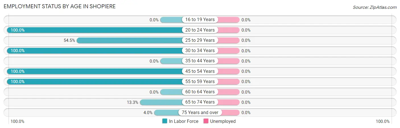 Employment Status by Age in Shopiere