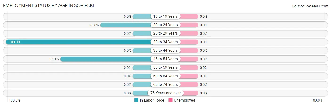 Employment Status by Age in Sobieski
