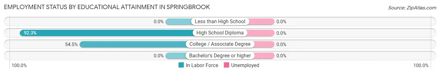 Employment Status by Educational Attainment in Springbrook
