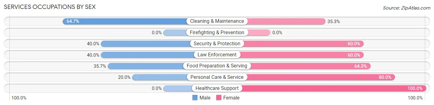 Services Occupations by Sex in St Cloud