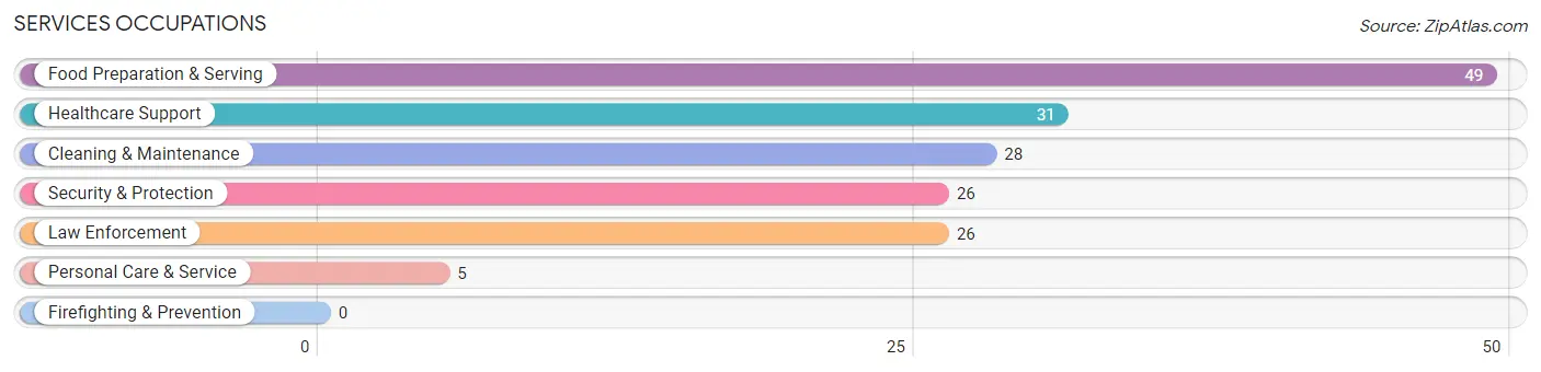 Services Occupations in St Croix Falls