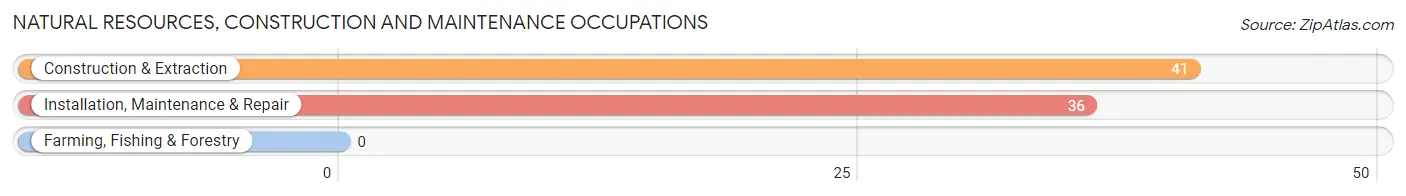 Natural Resources, Construction and Maintenance Occupations in Stanley