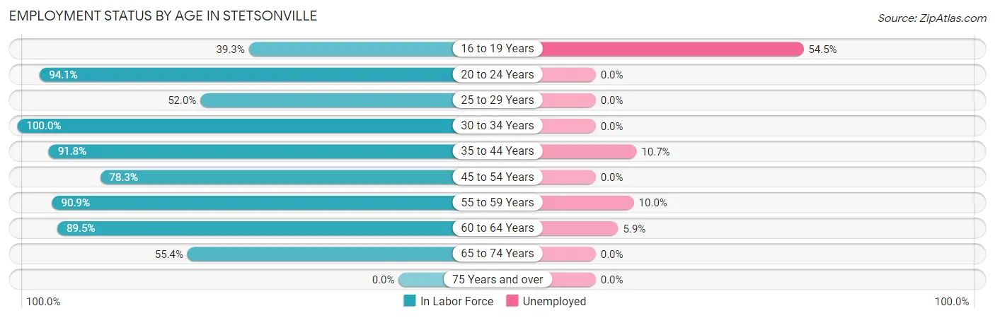 Employment Status by Age in Stetsonville