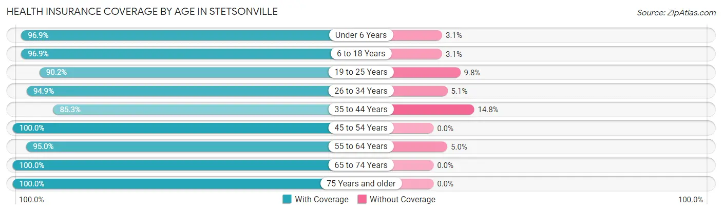 Health Insurance Coverage by Age in Stetsonville