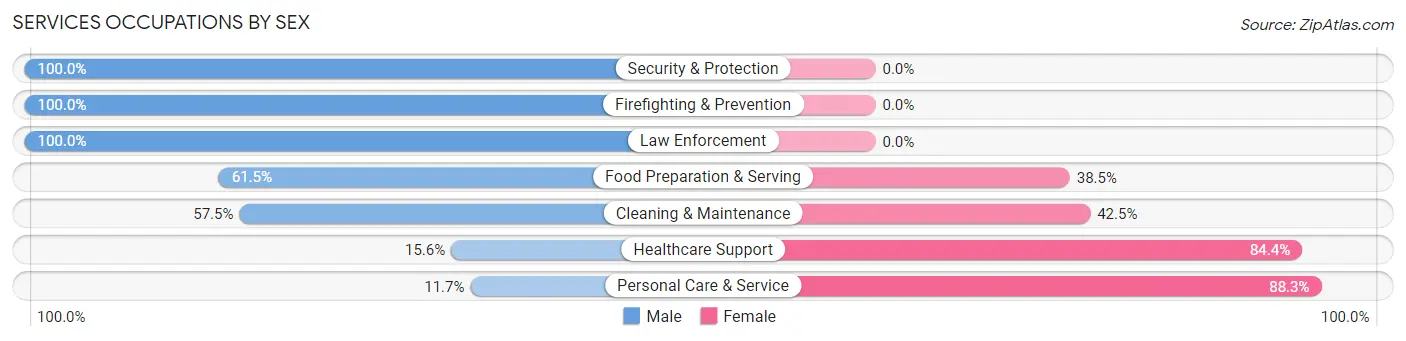 Services Occupations by Sex in Stoughton